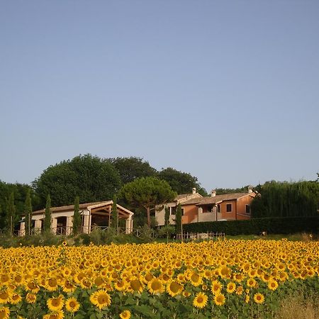 Rustico Del Conero Villa Camerano Exterior photo