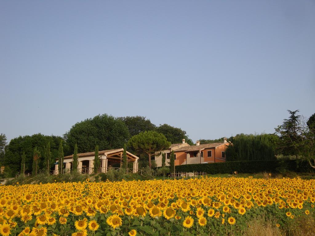 Rustico Del Conero Villa Camerano Exterior photo