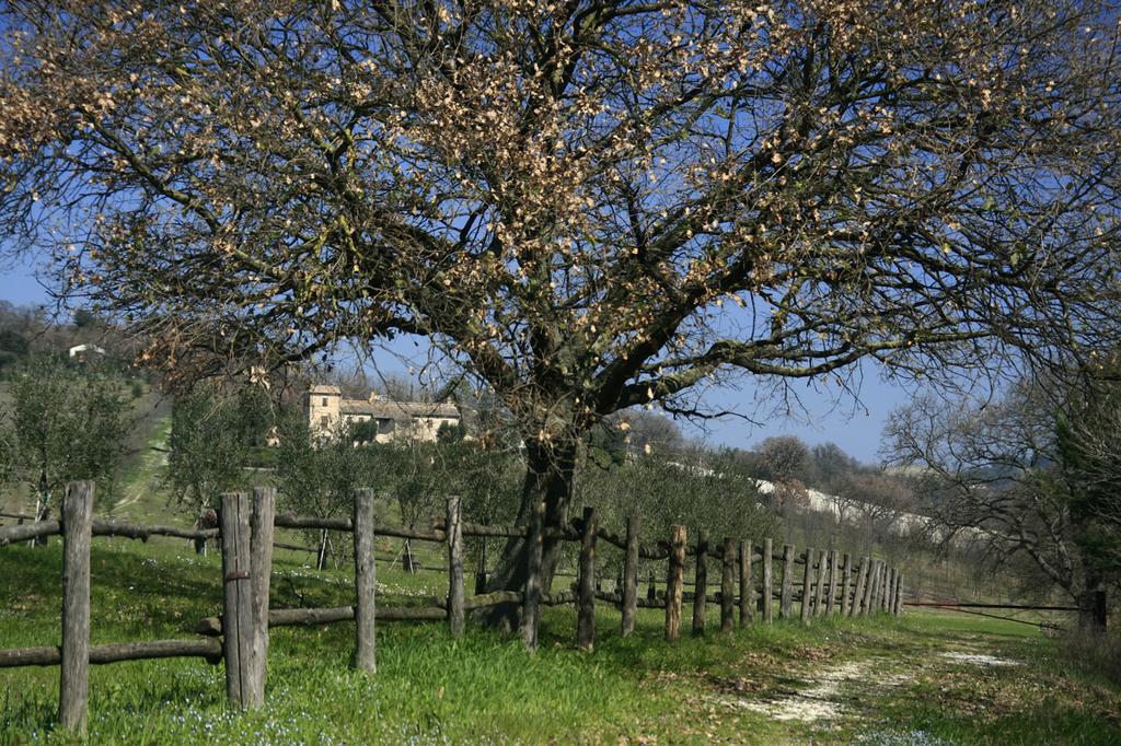 Rustico Del Conero Villa Camerano Exterior photo